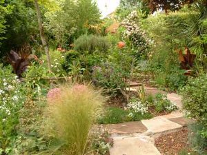Maze view from veg, incl Alliums.