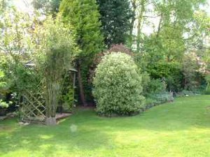 View of the lower end of the Top Garden.