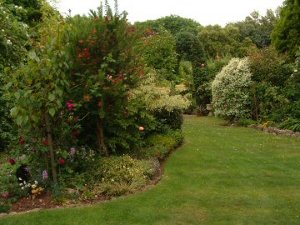 View down the top section of the garden.