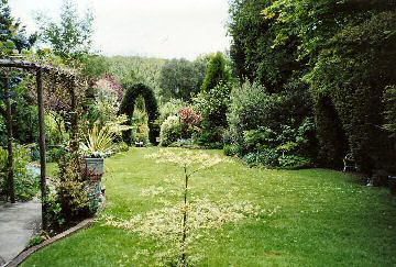 Top garden June 2000