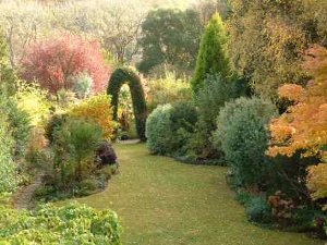 Autumn View.