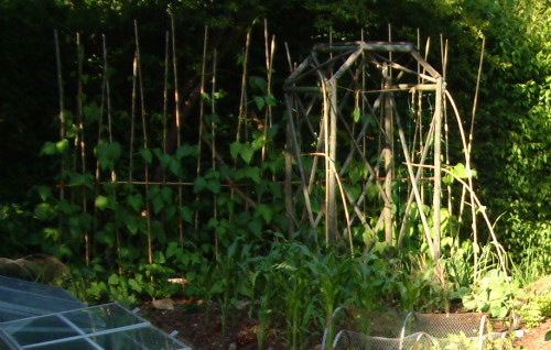 Vegetable Arch