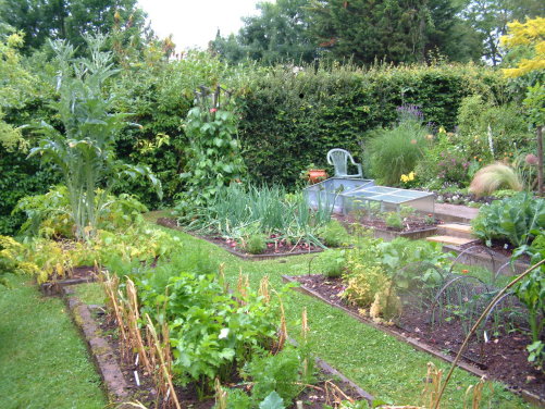 picture of Veg patch with bean pole.
